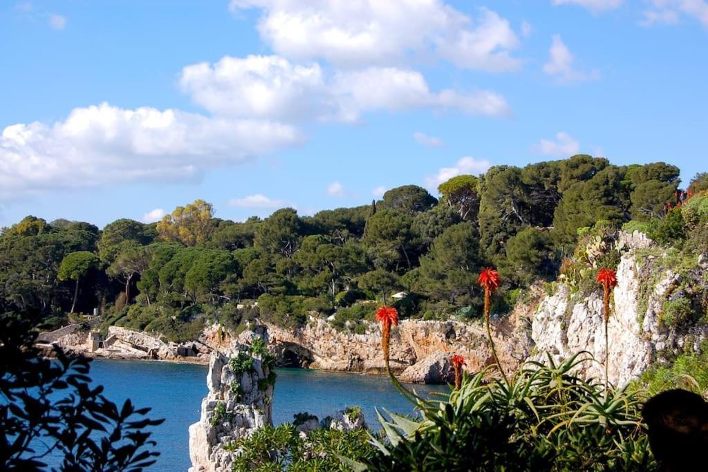 Ravissant Studio Au Coeur Du Vieil Antibes Exterior foto